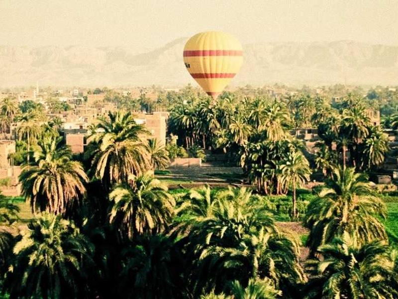 sudoku no solution screenshot 1