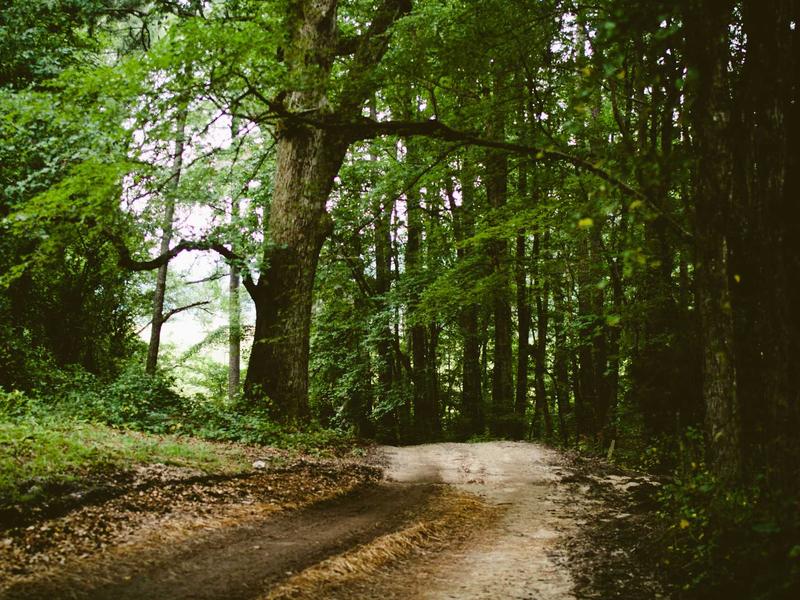 sudoku irregular boxes screenshot 6